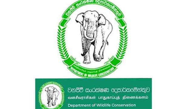 Wildlife Department staff strike over plan to absorb Civil Security personnel