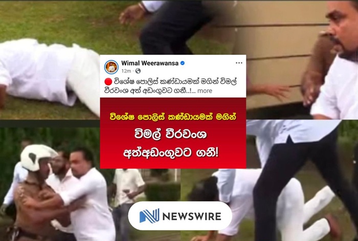 Wimal Weerawansa arrested over War Heroes Memorial disruption