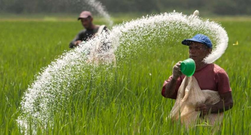 Fertilizer subsidy reaches 75% of Yala paddy land, Rs.8,990mn paid